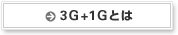 3G+1Gとは